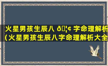 火星男孩生辰八 🦢 字命理解析（火星男孩生辰八字命理解析大全 🌺 ）